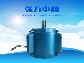科瑞萊環(huán)?？照{(diào)1.1KW專用電機(jī)